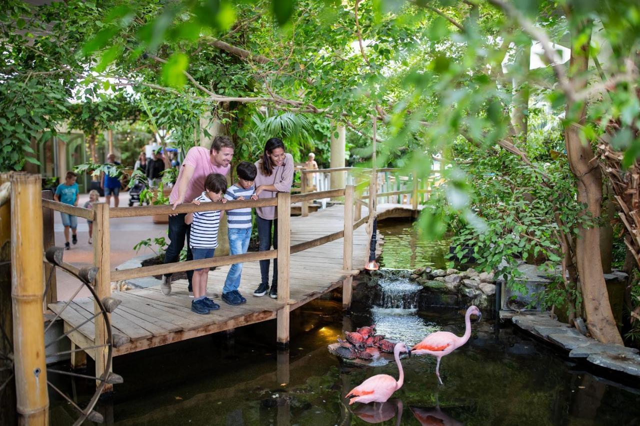 Center Parcs Port Zélande beach Ouddorp Exterior foto